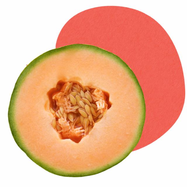 Økologisk cantaloupemelon